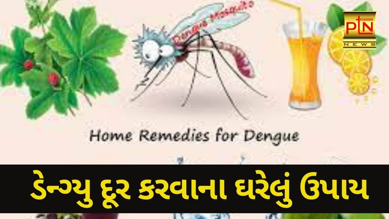 Home remedies for Dengue