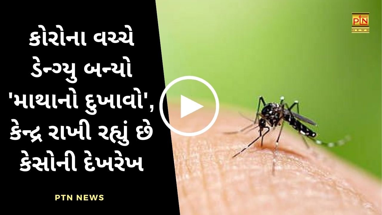 rise in dengue cases