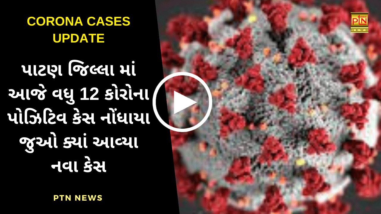 12-corona-positive-cases-were-reported-in-patan-district-today