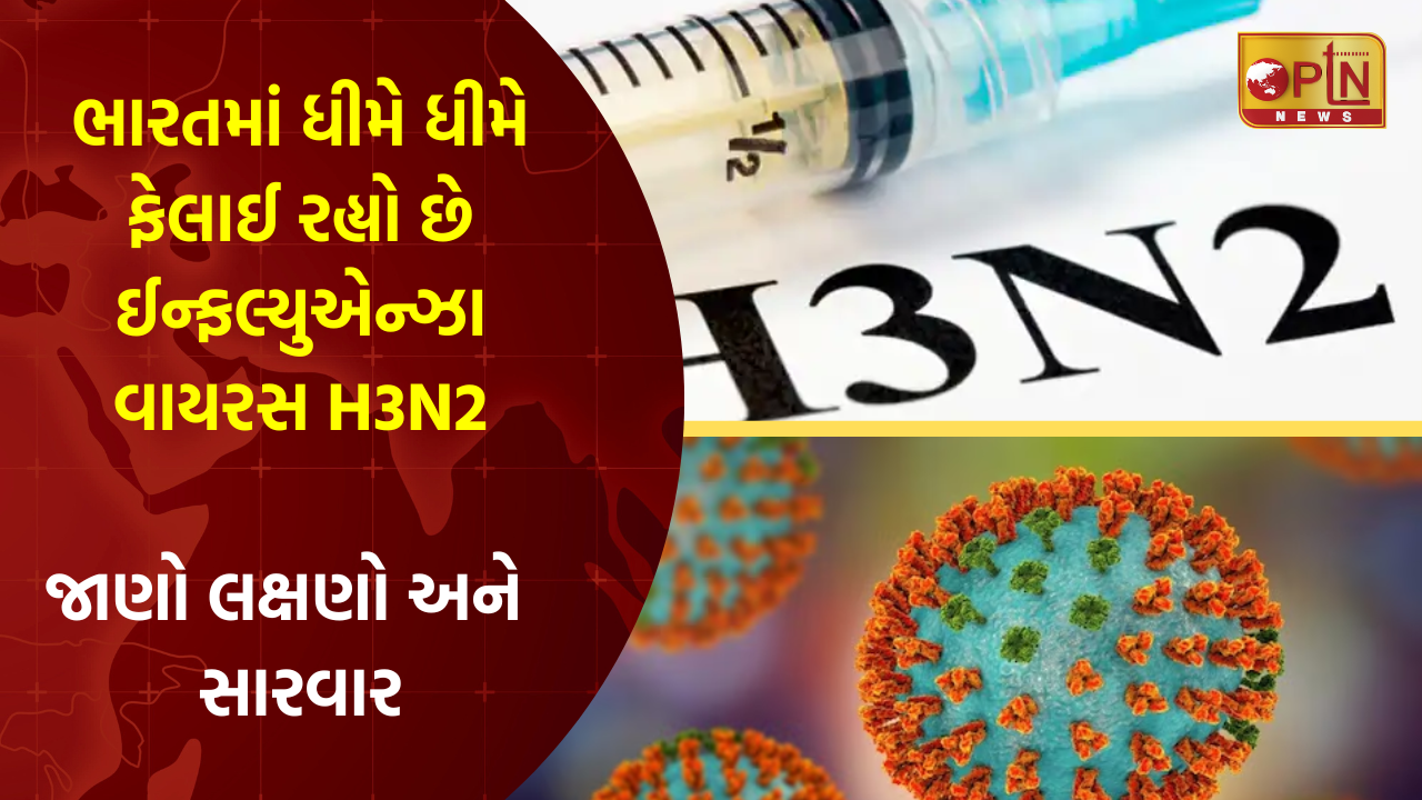 H3N2 Influenza A Virus