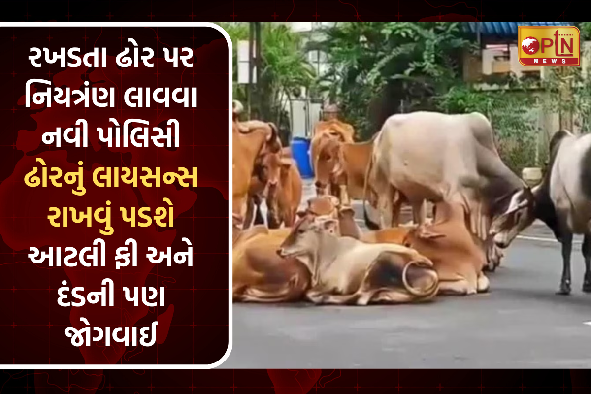 stray cattle in ahmedabad new policy